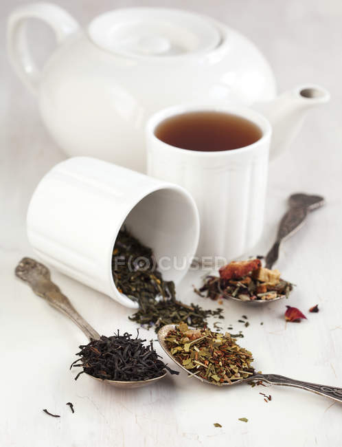 Различные типы чая, черный, зеленый, цветочный и травяной на белом — стоковое фото
