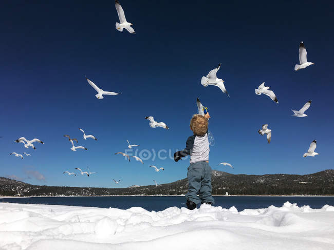Visão traseira do menino de pé na praia no inverno soprando bolhas de sabão em gaivotas — Fotografia de Stock