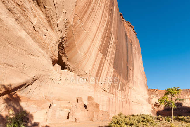 Estados Unidos, Arizona, Apache County, Canyon de Chelly, Anasazi houses by rock cliff - foto de stock