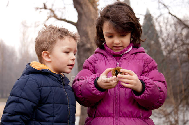 Two young children looking at chestnut — Stock Photo