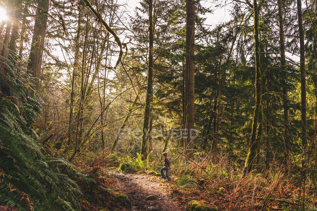 Bambino che cammina sul sentiero attraverso la foresta — Foto stock