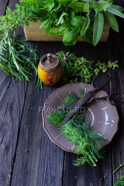 Hierbas frescas, plato y tijeras sobre mesa de madera en tonos púrpura - foto de stock