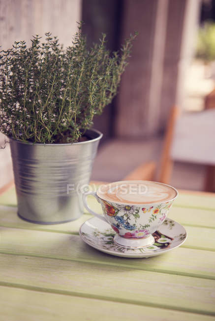 Cappuccio in floraler Teetasse neben Thymianpflanze — Stockfoto