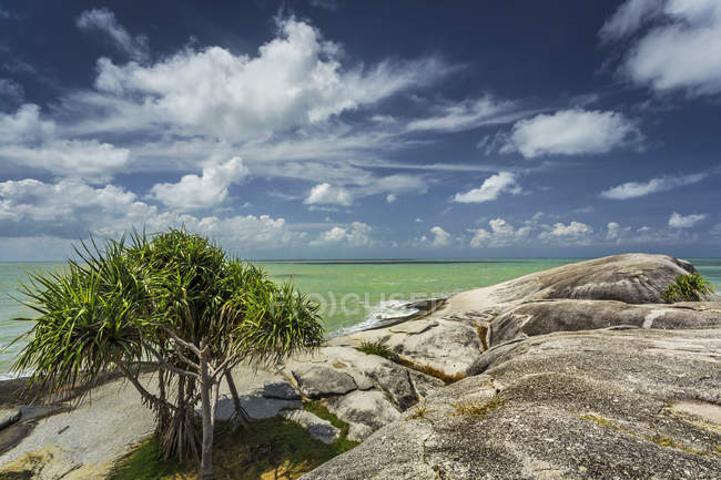 Pandanusbaum und Granitfelsen am Strand, Heritung, Indonesien — Stockfoto