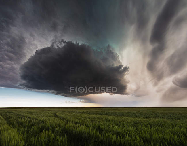 USA, Nebraska, veduta panoramica della nube di supercelle sul campo — Foto stock