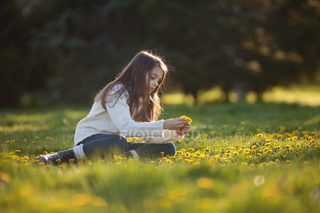 Chica recogiendo dientes de león en pradera floral - foto de stock