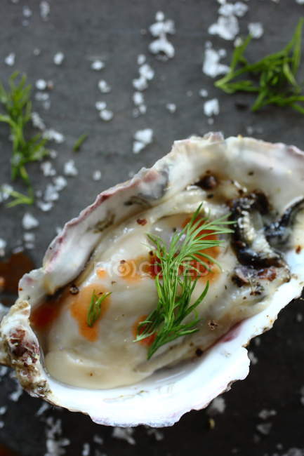 Fresh Oyster with dill and salt on grey surface — Stock Photo