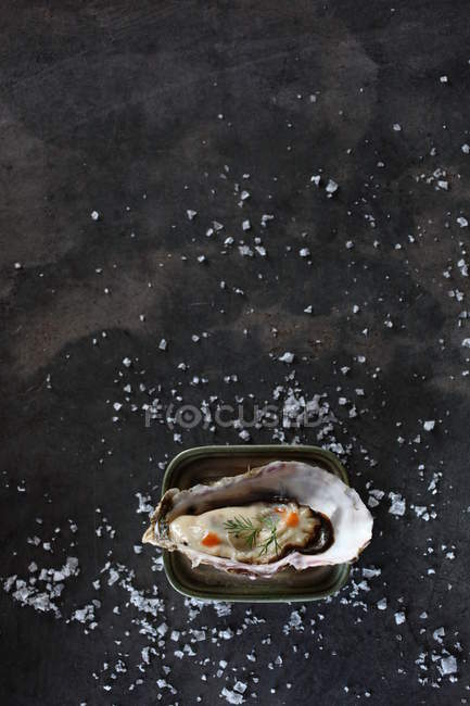 Fresh oyster on black background with dill and salt — Stock Photo