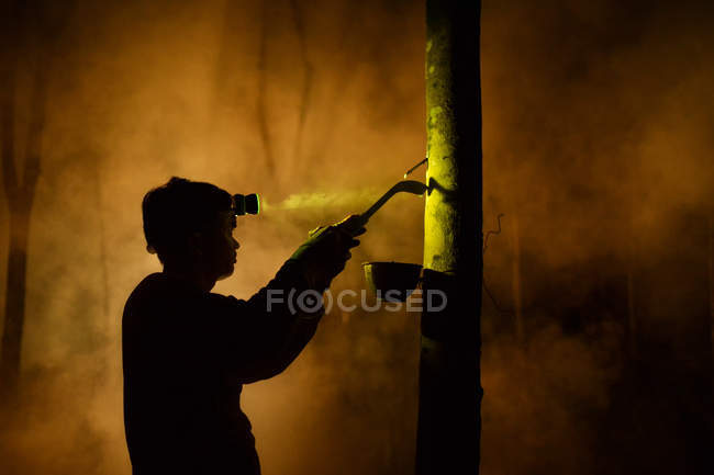 Mann zapft nachts mit Fackel Gummibaum an — Stockfoto