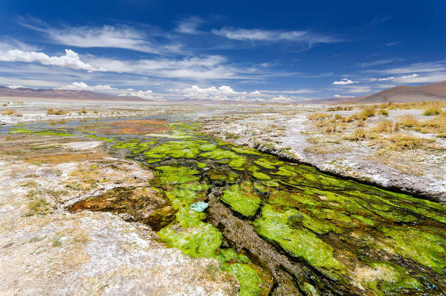 Bolívia, Altiplano, Paisagem com vale estéril em dia ensolarado — Fotografia de Stock