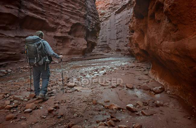 Estados Unidos, Utah, Moab, Senderista con mochila caminando en cañón - foto de stock