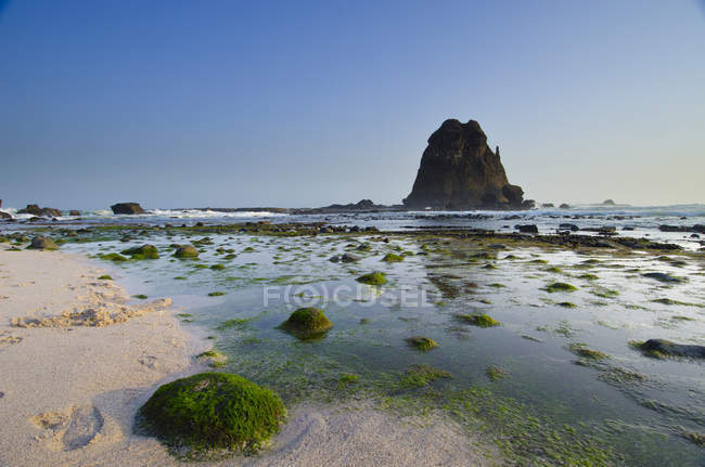 Scenic view of Tanjung Papuma beach, East Java, Indonesia — Stock Photo
