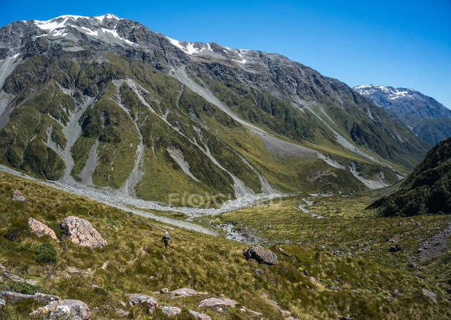 Mann wandert ins Tal des Baches, Neuseeland — Stockfoto