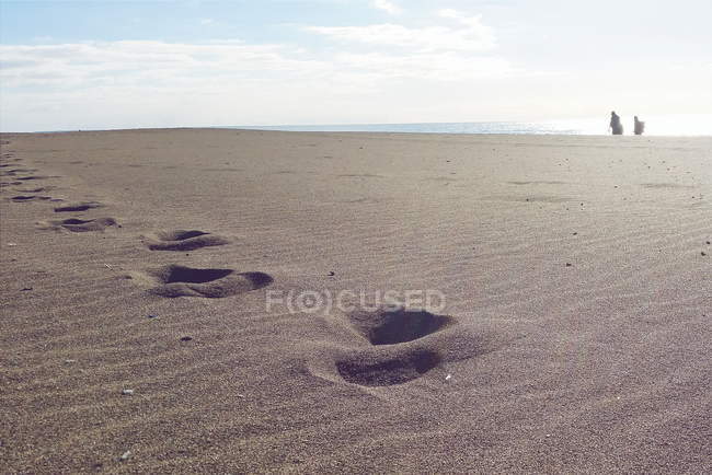 Vista panorámica de las huellas de los pies en la arena en la naturaleza bajo el cielo nublado - foto de stock