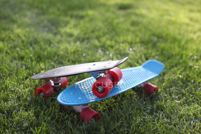 Vista close-up de dois skates na grama verde no dia ensolarado — Fotografia de Stock