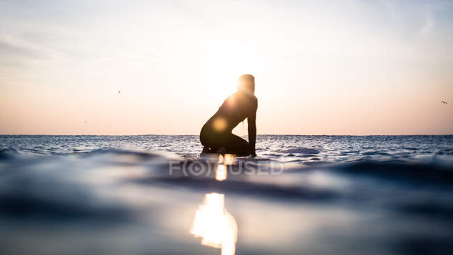 Silhouette of a woman sitting on surfboard in ocean, Malibu, california, america, USA — Stock Photo