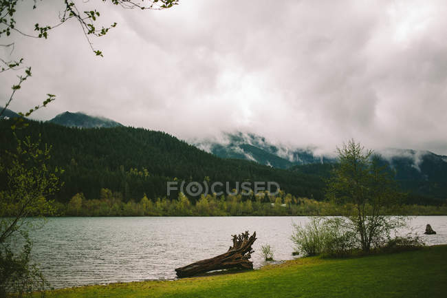 Vue panoramique sur le tronc d'arbre tombé au bord du lac — Photo de stock