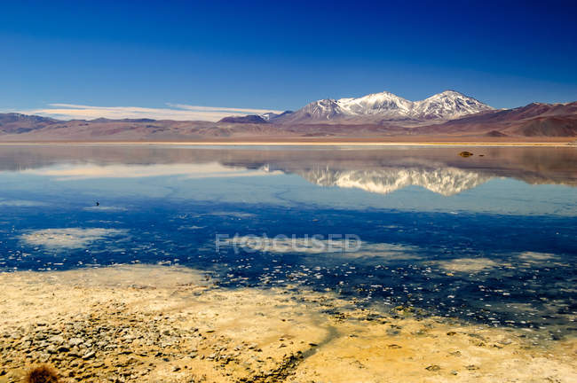 Majestic view of beautiful lagoon, Maricunga, Atacama Desert, Chile — Stock Photo
