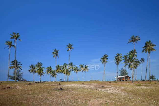 Vista panorámica de la cabaña de playa y palmeras en la playa, Terengganu, Malasia - foto de stock