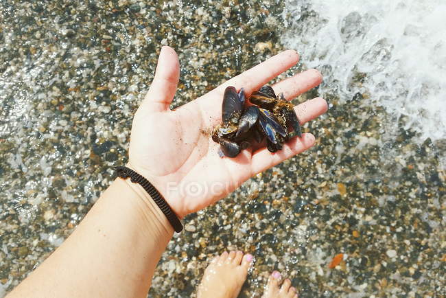 Female hand holding mussels in hand on beach — Stock Photo