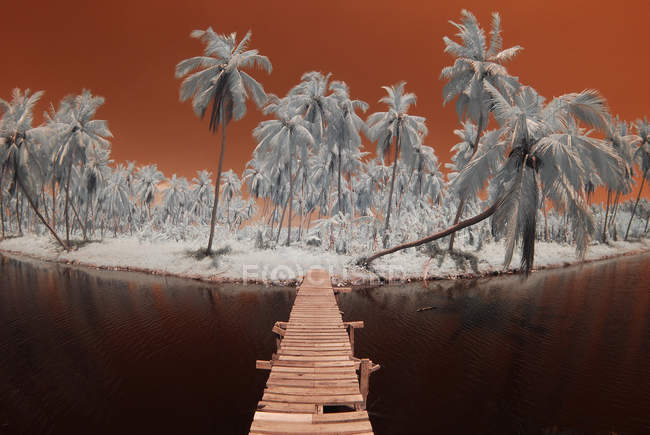 Malasia, Selangor, Sungai Besar, vista panorámica de la isla en color infrarrojo - foto de stock