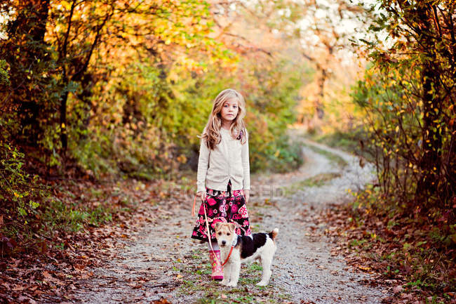 Дівчина гуляє лисиця-тер'єр собака в лісі — стокове фото