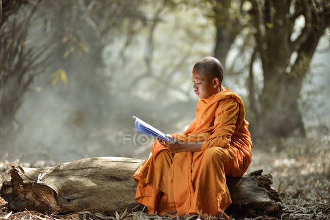 Buddhist monk reading Novice learning sitting on log outdoors, Thailand — Stock Photo