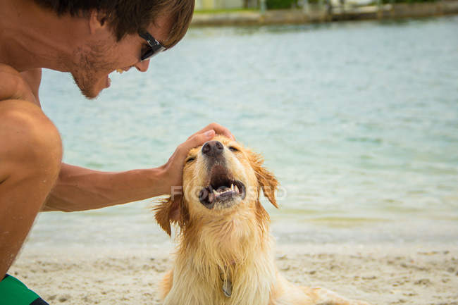 Primer plano retrato de hombre acariciando golden retriever perro en la playa - foto de stock