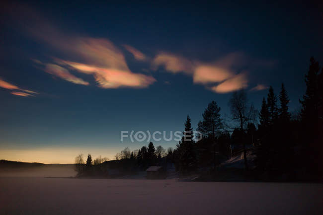 Vue panoramique de la forêt mystique au lever du soleil en Norvège — Photo de stock