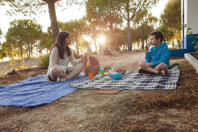 Madre e hijo haciendo picnic en el parque - foto de stock