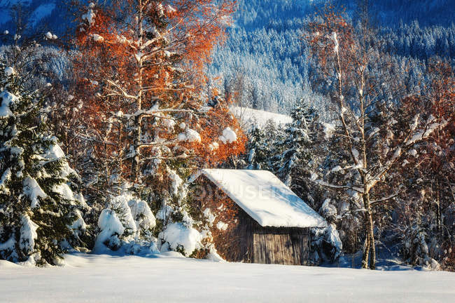 Vista panorámica de la choza de invierno cubierta de nieve en Suiza - foto de stock