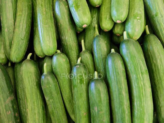 Fresh cucumbers in heap at farmer market — Stock Photo