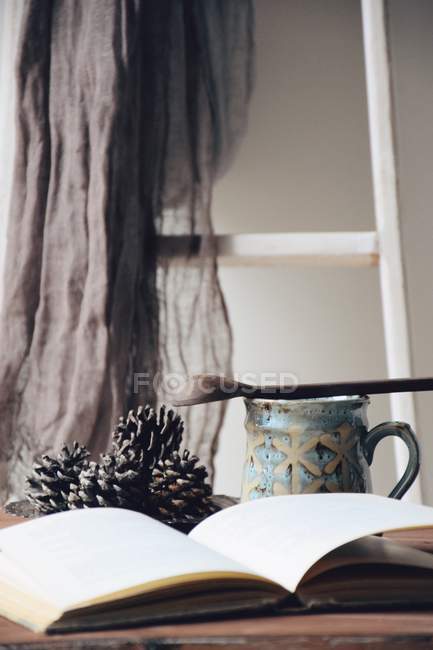 Aufgeschlagenes Buch und Tasse Tee im gemütlichen Zimmer — Stockfoto