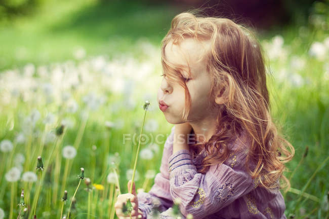Close-up of Girl blowing a dandelion on meadow — Stock Photo