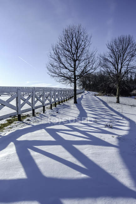 Живописный вид на деревянный забор вдоль края поля, Иллинойс, Америка, США — стоковое фото