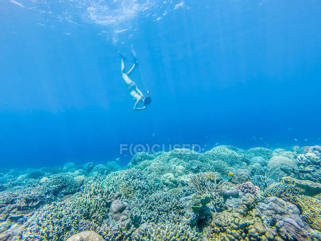 Ragazza che nuota sott'acqua con snorkeling, Gili Meno, Indonesia — Foto stock