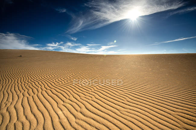 Пустынный пейзаж с голубым небом, Фуэртевентура, Канарские острова, Испания — стоковое фото