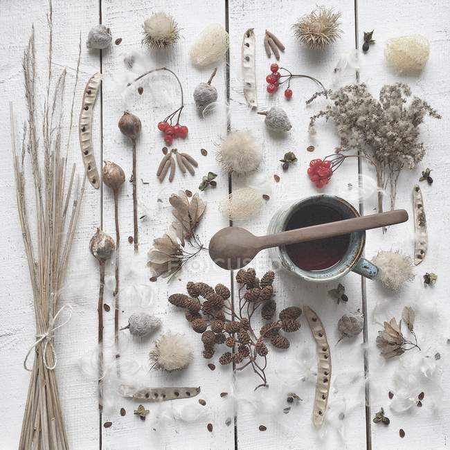 Tè, bacche invernali, erba, semi e botanici — Foto stock