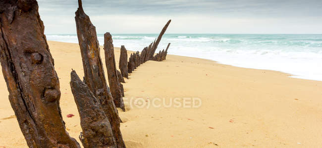 Мальовничий вид на корабельної аварії в золотого пляжу, Вікторія, Австралія — стокове фото