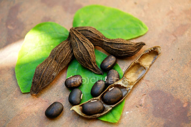 Imagen de primer plano de semillas de frijol de terciopelo - foto de stock