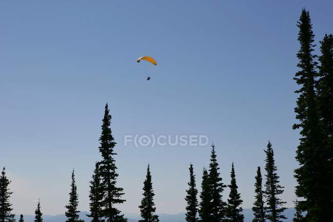 Parapente sobre los árboles, Wyoming, América, EE.UU. - foto de stock