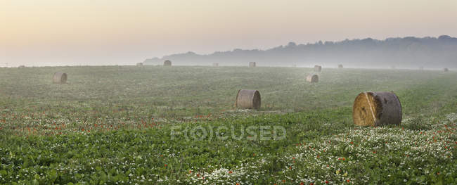 Vista panorámica de fardos de heno en el campo, Dorset, Inglaterra, Reino Unido - foto de stock