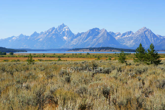 Scenic view of beautiful mountains, Wyoming, America, USA — Stock Photo