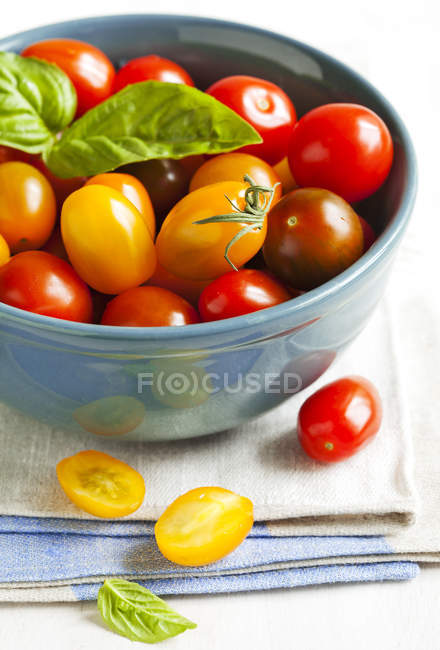 Tigela de tomates cereja com manjericão, close-up — Fotografia de Stock