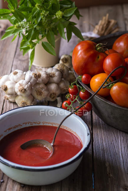 Натюрморт домашнього томатного соусу з помідорами, часником та травами — стокове фото