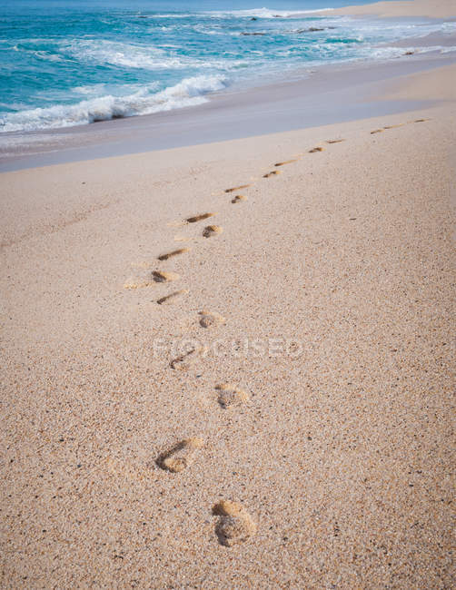 Scenic view of footprints in the sand on beach — close up ...