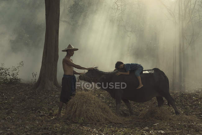 Vista lateral de Padre e hija pequeña con búfalo, Tailandia - foto de stock