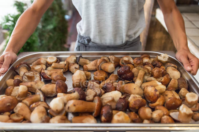 Close-up hands of woman holding tray of raw mushrooms — Stock Photo