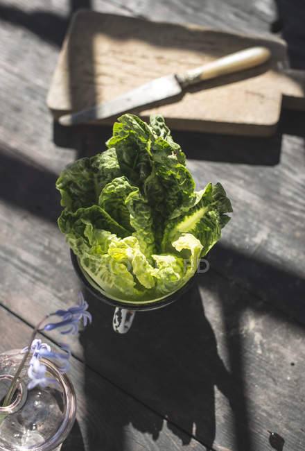 Підвищений вид листя салату в чашці, що кидає тінь на дерев'яний стіл — стокове фото
