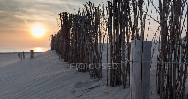 Wooden fence on beach at sunset, copy space — Stock Photo